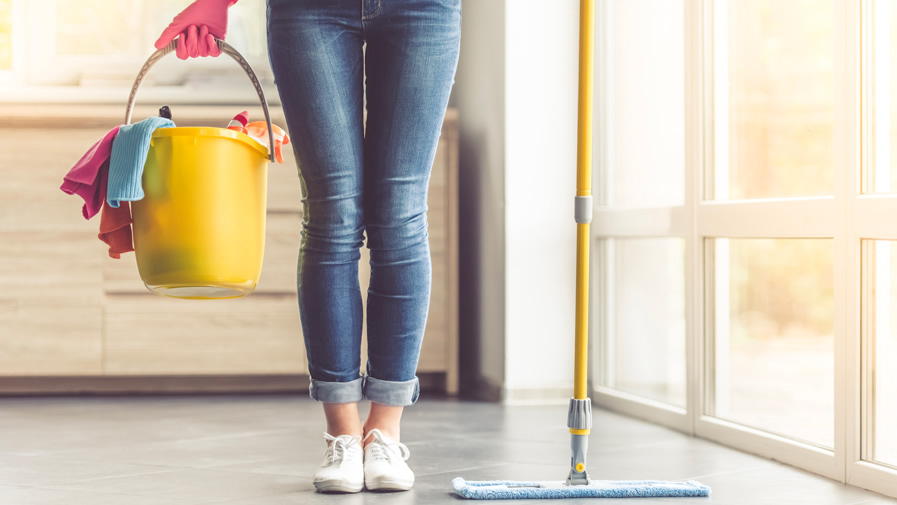 Le Cesu Facilite Les Services A Domicile