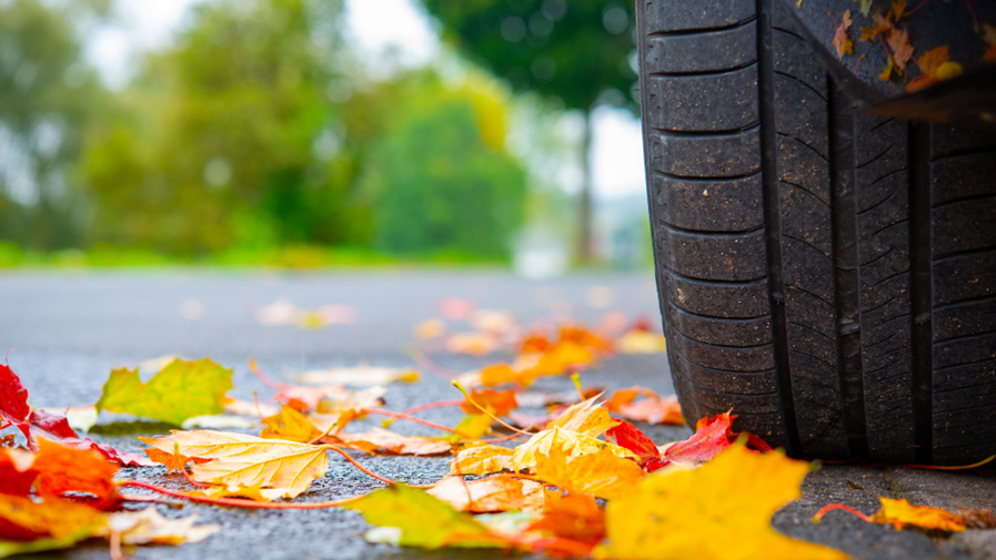 Les Feuilles Mortes Responsables D Accidents Et De Dommages